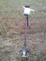 !!!!!!!!!!!!!!!!!!!!!!!!!