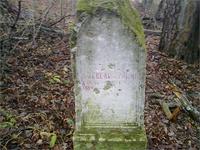 С ДРУЗЬЯМИ НА КОПЕ