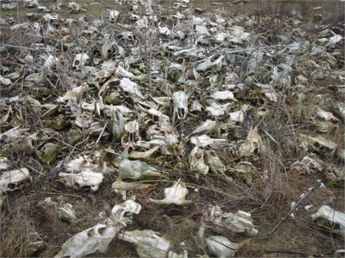 вот такое поле попалось!