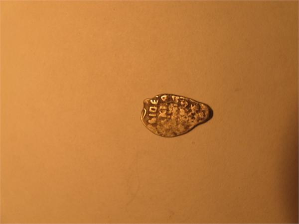 Подскажите пожалуйста что за чешуйка?