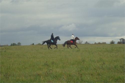 Две чешуйки))