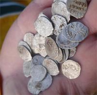 Чешуя найдена в Клинском районе