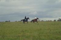 Две чешуйки))