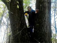 Виктор обнаружил дерево