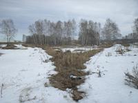 Развилка трактов
