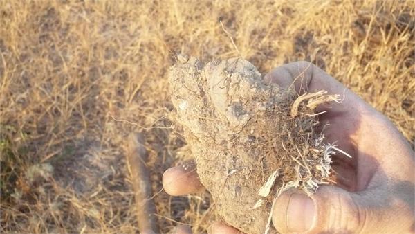 советы 5 копеек