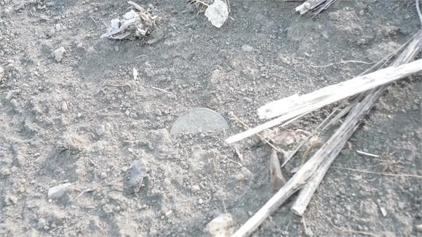 вообще ненадо копать! 2 копейки