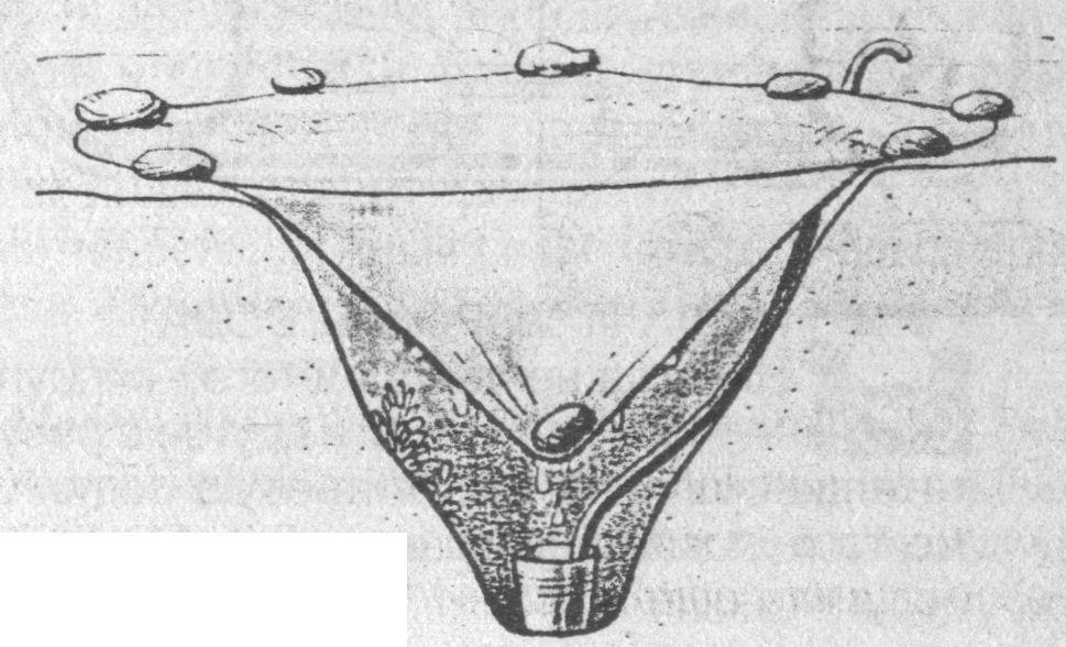 vodapohod4