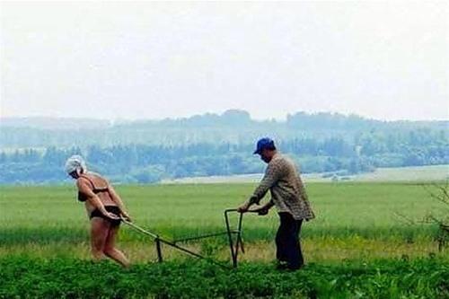 сладкая парочка