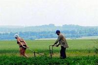 сладкая парочка