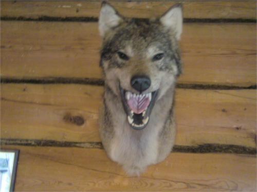 лучшая находка это что нашол и сохранил