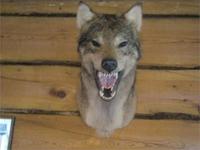 лучшая находка это что нашол и сохранил