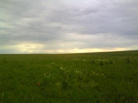 Поля нехожены.