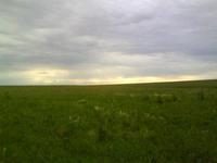 Поля нехожены.