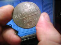Не редкость, но сохран впечатляет