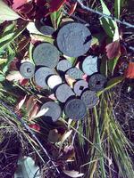 Свидетели истории